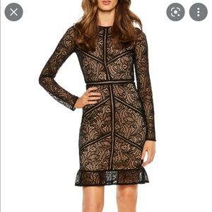 Bardot Sasha Lace Bodycon Dress